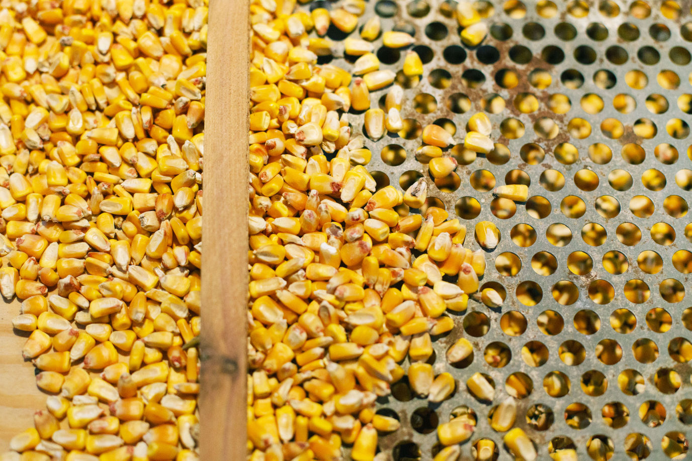 Britain Mill Corn Kernels